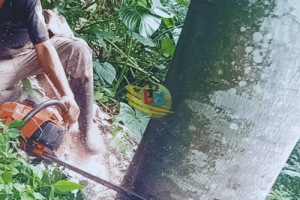 Desain tanpa judul (21)